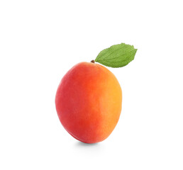 Sweet apricot on white background