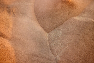 A bulk cargo loaded with grain in port