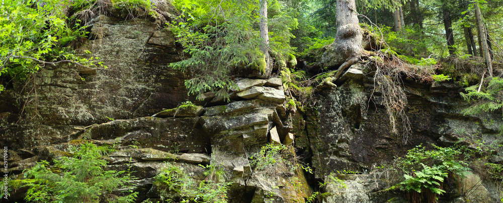 Poster Rocky cliff face in a forest made up of large, jagged rocks and boulders. There are trees and shrubs growing on top of the cliff and in the crevices between the rocks.