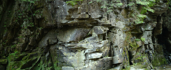 Rock formation in a forest made up of large, jagged rocks stacked on top of each other covered in moss and other vegetation. The background is a dense forest with trees and other foliage.