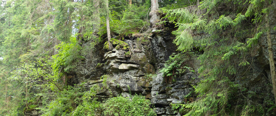Cliff face in a dense forest made up of dark grey rocks with patches of green moss and lichen...