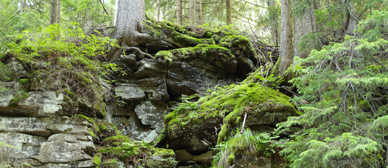 Obraz premium Rock formation in a forest made up of large, stacked boulders with moss and other vegetation growing on top.