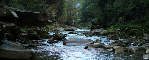 Peaceful view of a rocky stream flowing through a forest.
