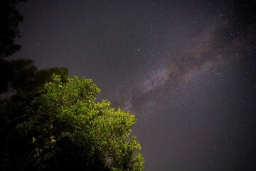 Fototapeta na wymiar Milky Way Galaxy with stars and silhouette of tree, Abstract background, Sardoal, Abrantes, Portugal