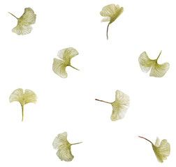 Ginkgo leaves Seamless Pattern  Ginkgoblätter watercolor Stoffdesign wiederholen Fliese Botanical...