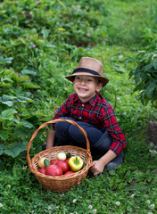 Little boy dressed as a farmer with a basket of vegetables. Little helper. Seasonal harvest concept