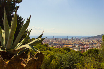 Panorámica de la ciudad de Barcelona desde un mirador. Ciudad de Barcelona desde el Park Guell....