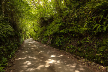 Landscapes of Exmoor National Park