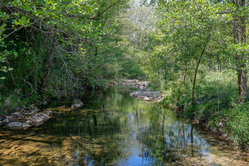 Fototapeta na wymiar muga river that runs between the rocks and trees in san lorenzo de la muga girona spain