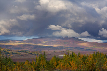 Autumn in polar tundra