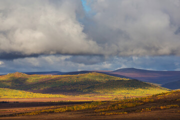 Autumn in polar tundra