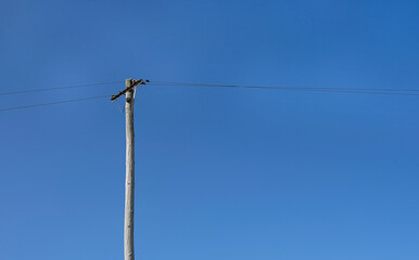 Power line and wooden pole in front of a blue sky