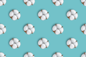 Cotton flower seamless pattern isolated on blue background. Top view, flat lay, wallpaper, backdrop