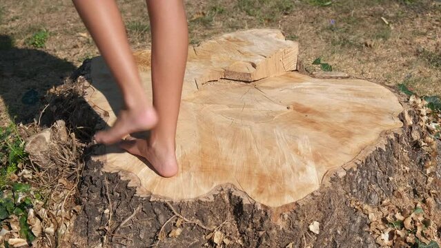 Stand with bare legs on stump. A young girl with bare legs stand on the stump in the forest during sunny day in summer.
