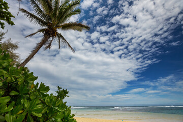 Hawaiian beach