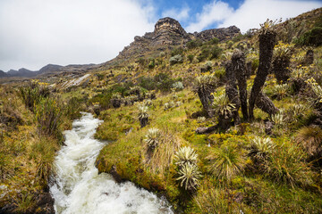 Mountains in Colombia