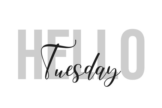 Hello tuesday lettering typography on tone of grey color. Positive quote, happiness expression, motivational and inspirational saying. Greeting card, poster.
