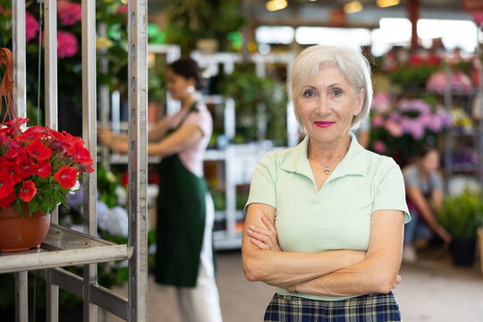 Portrait of contented elderly woman in a greenhouse where begonias are grown