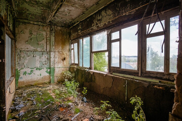 Overgrown by plants old abandoned building interior