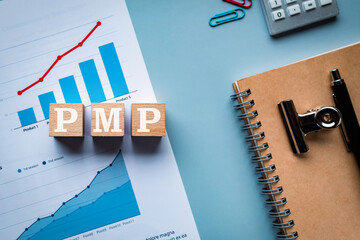 There is wood cube with the word PMP. It is an abbreviation for Project Management Professional as...