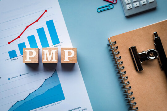 There is wood cube with the word PMP. It is an abbreviation for Project Management Professional as eye-catching image.