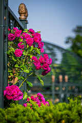 北海道　恵庭市　えこりん村の風景