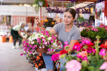 Fototapeta na wymiar Cheerful young girl choosing ornamental plants to decorate courtyard at flower market, looking with interest at flowering petunias in hanging cache-pots