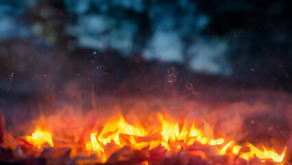 fire burning in the forest