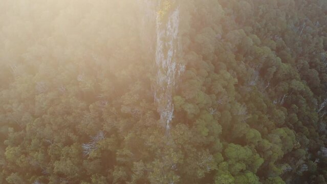 aerial drone top down view of steamers mountains in  main range national park, queensland, australia; unique scenery near mount superbus on the border with new south wales; stern, mast and funnel