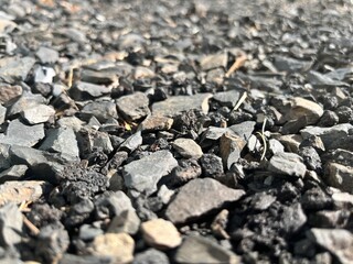 Nature's Paving Stones