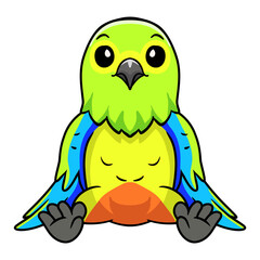 Cute orange bellied parrot cartoon