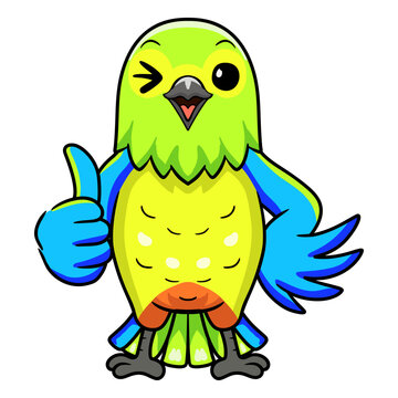 Cute orange bellied parrot cartoon giving thumb up