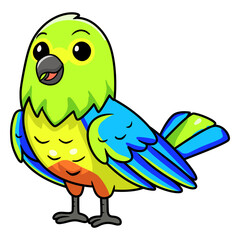 Cute orange bellied parrot cartoon