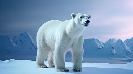 amazing photo of Polar Bear highly detailed. polar bear on ice. ice landscape in the arctic - obrazy, fototapety, plakaty