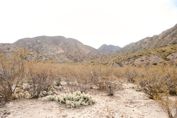 Mountain landscape in the Andean area of Potrerillos, Mendoza, Argentina.