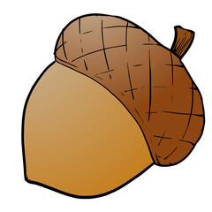 Single oak bean for decoration element