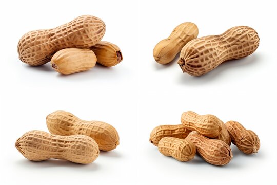 set of peanuts in shell isolated on white background