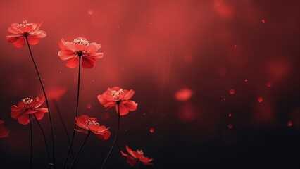 Obraz premium Top view and close-up image of beautiful blooming red rose flowers in corner on red background with copy space
