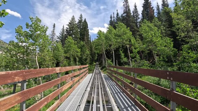 Mountain rollercoaster ride forest track POV 4K. Summer and winter all season mountain resort. Vacation nature family fun destination. Family recreation on rides, activities and events.
