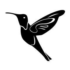 hummingbird vector icon