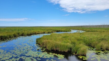 Natural Beauty of Michigan