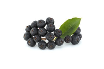 Bunch of aronia berries with green leaf on white