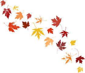 Autumn maple leaves, orange fall leaf, thanksgiving or halloween design elements in orange red and yellow autumn colors, seasonal clip art or png design elements for border or background illustrations - 629781239