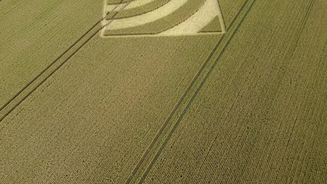 Flyover aerial view passing repeating wave crop square in Micheldever 2023 wheat field, Hampshire