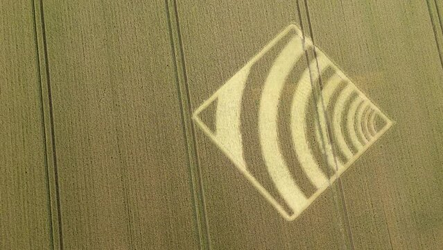 Aerial view looking down over strange waveform crop square on Micheldever golden wheat field, 2023, Hampshire