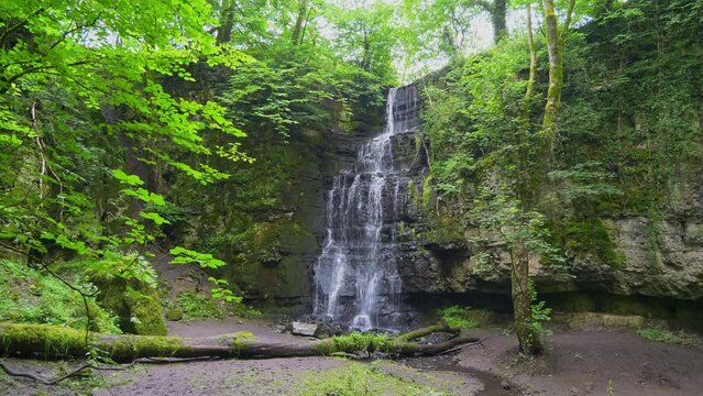 Eyam hidden Waterfall in forest. Trees and foliage. Fallen tree. Algae.