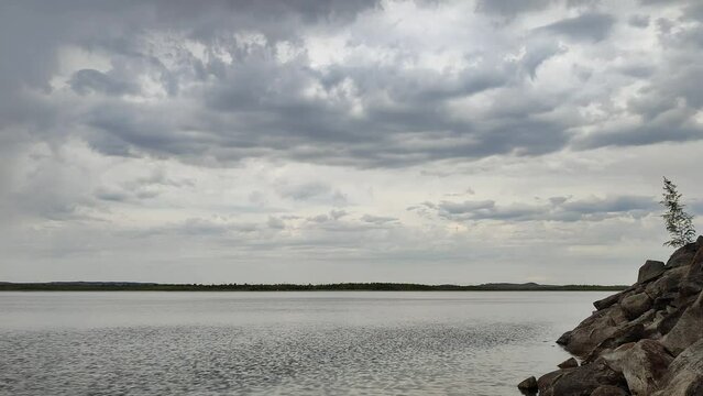 Rocky shore of the lake, birch trees. Gloomy sky, gray clouds. Rainy weather. Nature and landscape. Simple video.