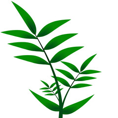 green leaf illustration