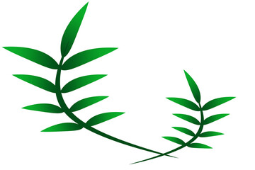 green leaf illustration