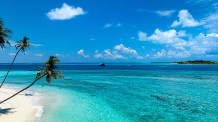 Summer palm tree  and Tropical beach with ocean blue  background